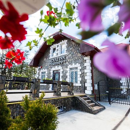 Royal Inn Busteni-Adults Only Exterior photo